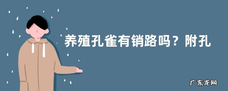 养殖孔雀有销路吗?附孔雀养殖优势