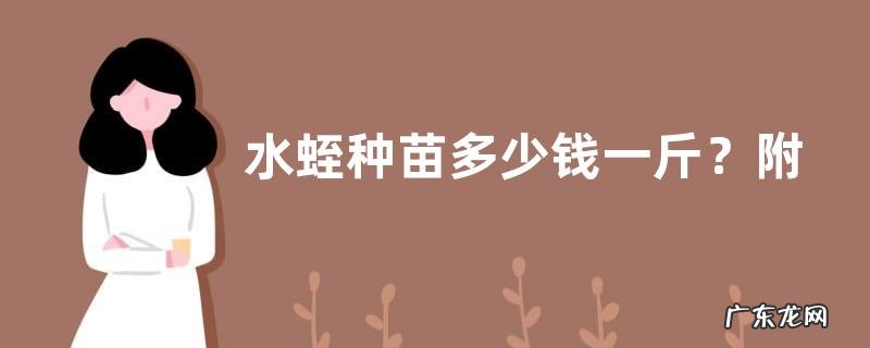 水蛭种苗多少钱一斤?附选购方法、放养方法、养殖方法