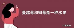 蔓越莓和树莓是一种水果吗 不是一种东西