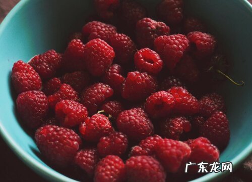 加拿大水果特产有哪些 最出名的四种水果