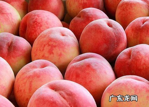 什么品种的桃子最好吃 常见桃子最新品种