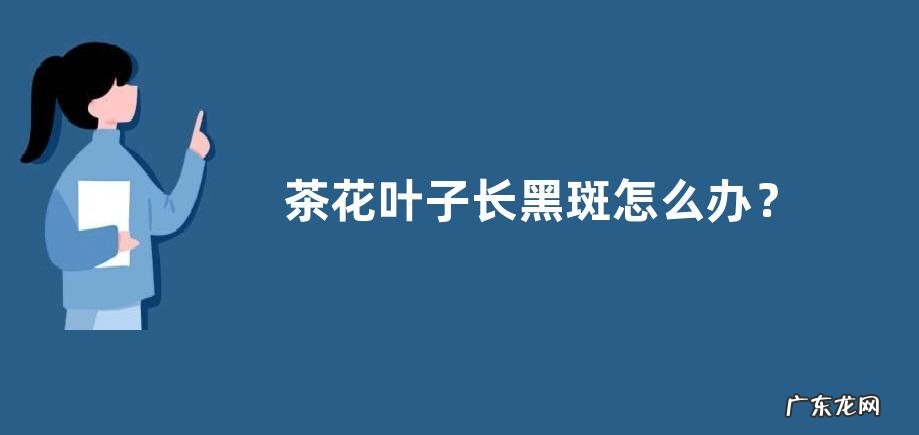 茶花叶子长黑斑怎么办？茶花叶子长黑斑的原因