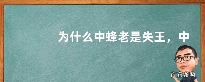 为什么中蜂老是失王,中蜂失王主要是由蜂种特性决定的