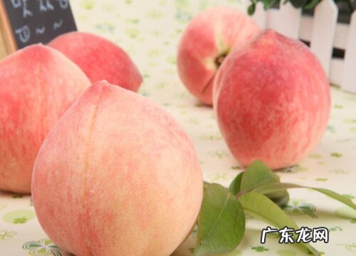 江苏水果特产有哪些 盛产什么水果