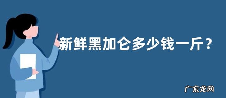 新鲜黑加仑多少钱一斤?附选购方法