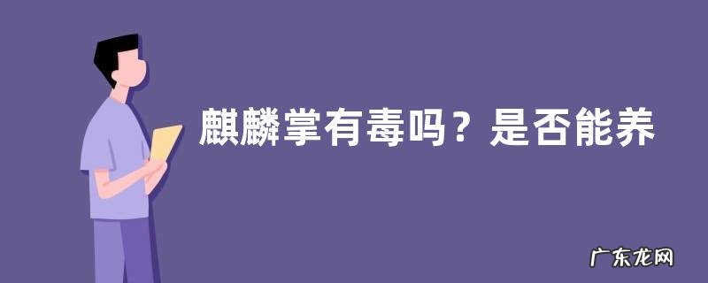 麒麟掌有毒吗?是否能养在家里