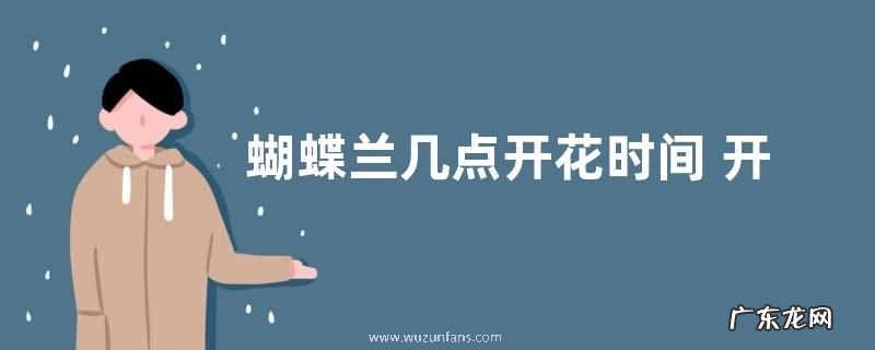 蝴蝶兰几点开花时间 开花季节和特点