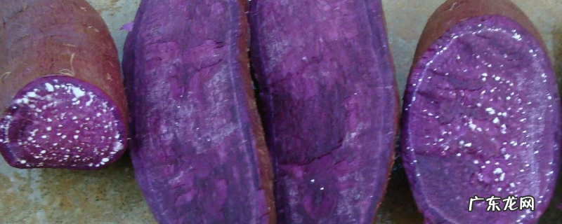 紫薯是转基因食品吗？转基因食品判断方法