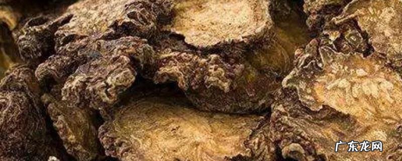 川芎种子多少钱一斤?附种植管理技术