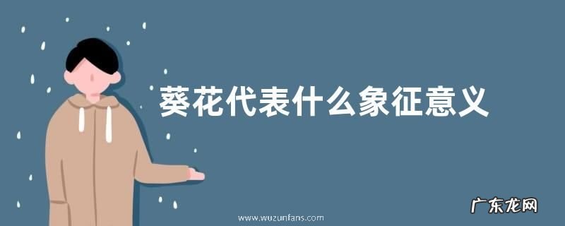 葵花代表什么象征意义 寓意是什么意思