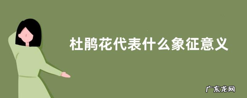 杜鹃花代表什么象征意义 代表的意思是什么