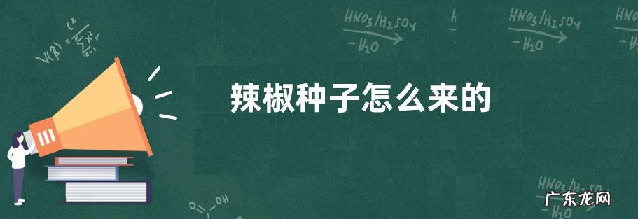 辣椒种子怎么来的