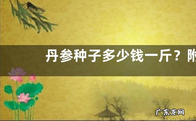 丹参种子多少钱一斤？附种植方法