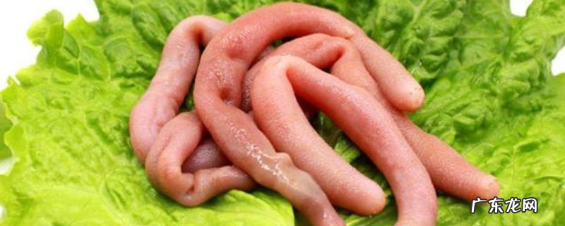 沙虫干多少钱一斤?附沙虫干的营养价值