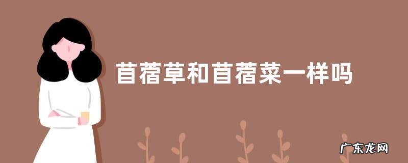 苜蓿草和苜蓿菜一样吗 有什么区别