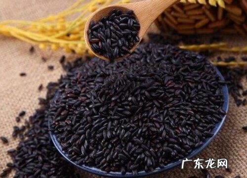 图片 黑米和紫米一样吗 各自长什么样子