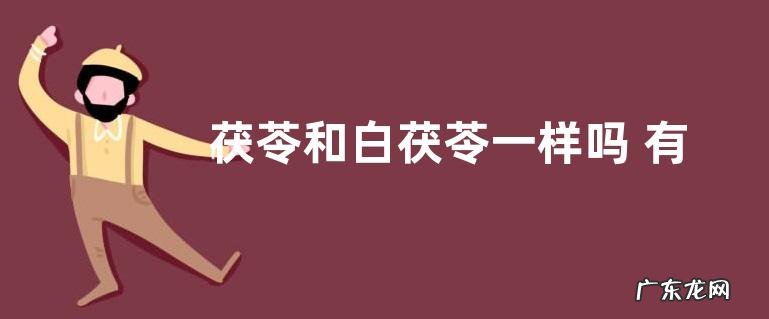 茯苓和白茯苓一样吗 有什么区别