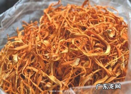金虫草和虫草花一样吗 有什么区别