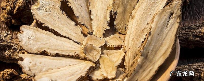 当归多少钱一斤?当归的选购方法