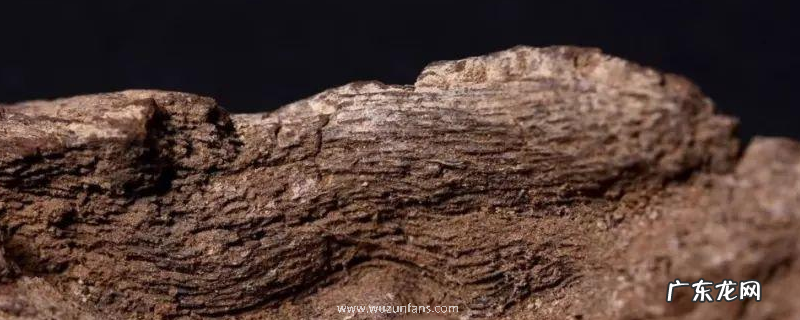 沉香的真假鉴别方法,详细介绍