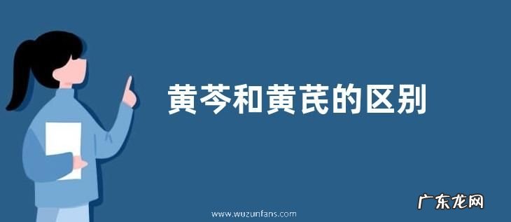 黄芩和黄芪的区别