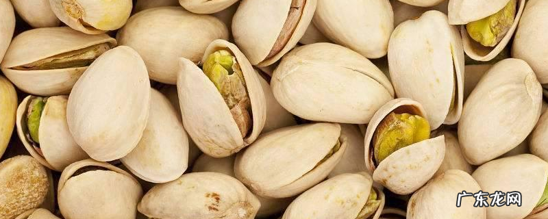 白果和开心果的区别,详细介绍