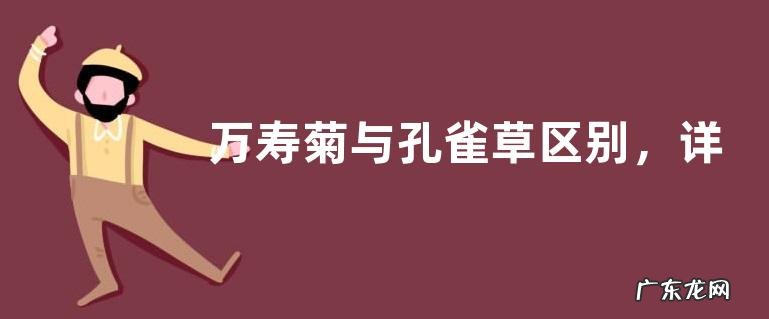 万寿菊与孔雀草区别,详细介绍