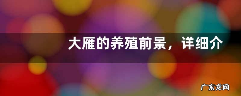 大雁的养殖前景,详细介绍