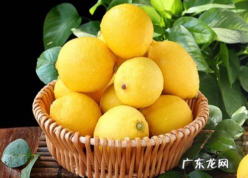 最燃脂又刮油的水果 刮油减脂最明显有效的水果