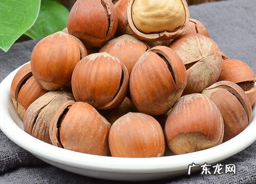 榛子长在树上还是地上 是什么树上结的果实