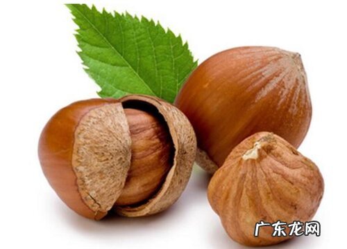 榛子长在树上还是地上 是什么树上结的果实