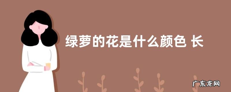 绿萝的花是什么颜色 长什么形状样子