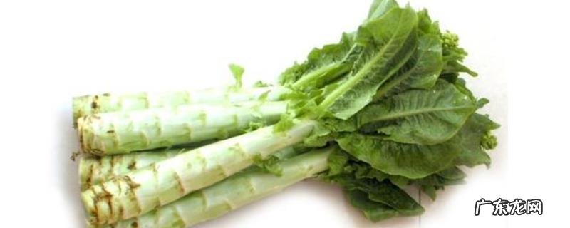 莴笋和莴苣有什么区别?莴笋是莴苣吗