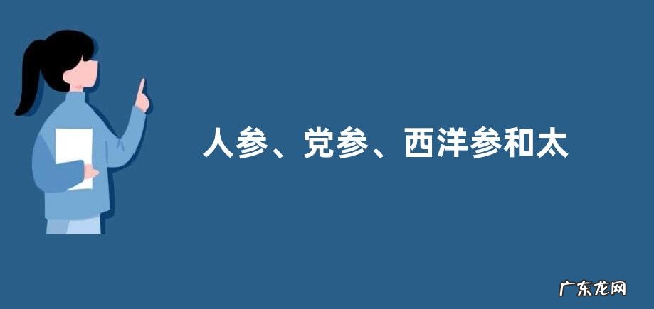 人参、党参、西洋参和太子参的区别,详细介绍