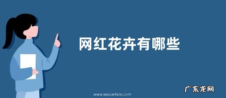 网红花卉有哪些