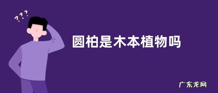 圆柏是木本植物吗