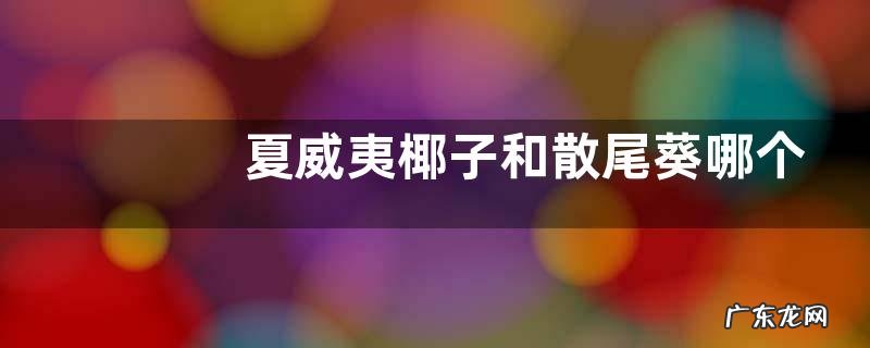 夏威夷椰子和散尾葵哪个好养
