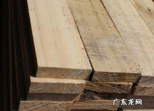 榄仁木是什么木材及价格 属于什么档次的木料