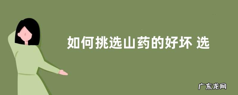 如何挑选山药的好坏 选择好的山药的技巧