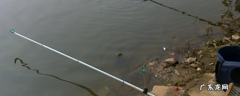 黑坑钓鱼技巧全攻略，有以下五点