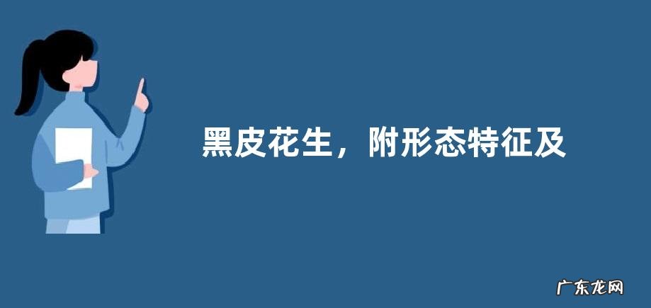 黑皮花生,附形态特征及生长周期