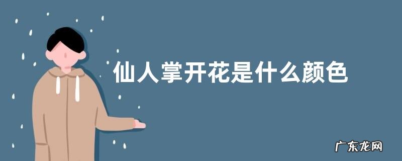 图片 仙人掌开花是什么颜色 开花是什么样子的