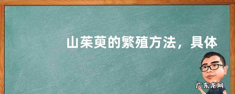 山茱萸的繁殖方法,具体怎么操作