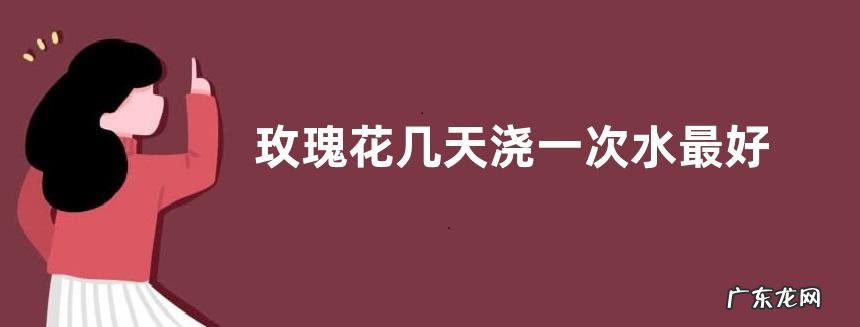 玫瑰花几天浇一次水最好