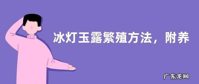 冰灯玉露繁殖方法,附养殖方法