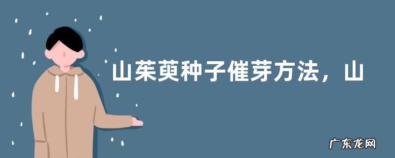 山茱萸种子催芽方法,山茱萸的种子处理