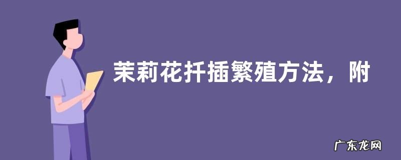 茉莉花扦插繁殖方法，附扦插时间