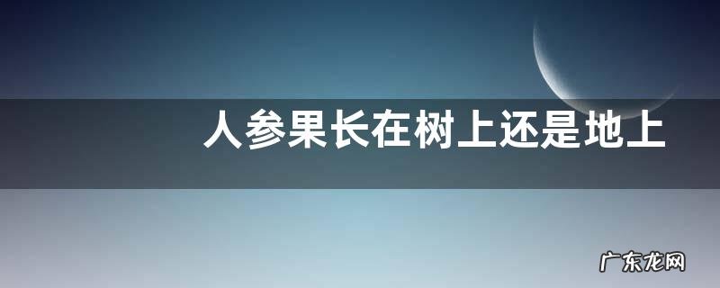 人参果长在树上还是地上 生长在什么树上
