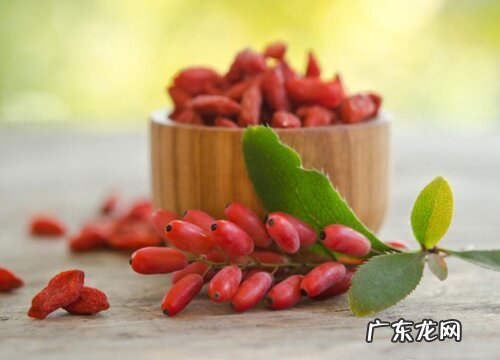 枸杞生长环境条件及特点