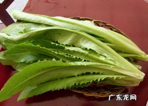 大叶蔬菜有哪些 大叶蔬菜包括哪些菜